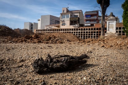 El último entierro en el cementerio viejo de Olesa de Montserrat (Barcelona)se realizó en 1988. La infraestructura está considerada como zona verde. El equipo de gobierno municipal ha licitado en varias fases los trabajos de vaciado de los 400 nichos que había ocupados. El proceso es complejo y no siempre han podido contactar con los familiares de los centenares de difuntos que han contabilizado en el camposanto. El cementerio viejo de Olesa acabará siendo un parque público cuando se consiga desmantelar. No hay fecha. 
