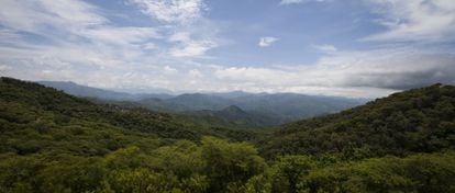 La sierra de Sinaloa, fortín y zona de cultivo de droga del cartel.