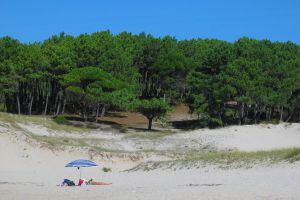 Playa de Melide, en la costa de Cangas de Morrazo (Pontevedra).