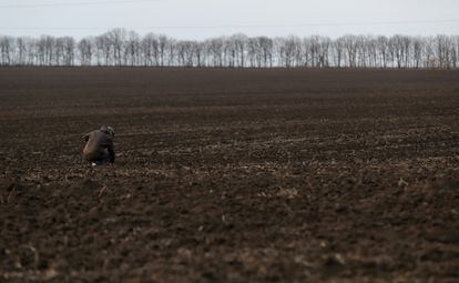 Tierras preparadas para la siembra de trigo y otros cereales cerca de Vinnitsia, en Ucrania.