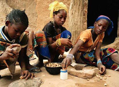 Niñas en Mali pelan frutos secos.
