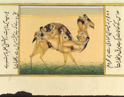 Un quadre gouache hindú del segle XIX de la silueta d'un camell composta per parelles copulant.