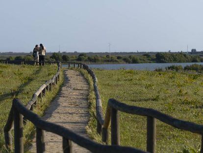 Pasarela en la reserva natural Dehesa de Abajo, en la provincia de Sevilla.