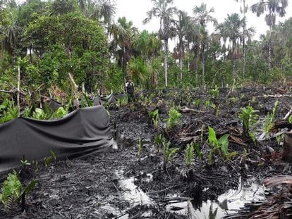 Derrame de petróleo en el lote 8X el 4 de diciembre pasado.