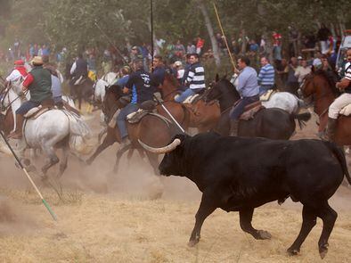 Toro De La Peña En El País