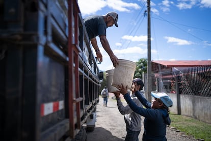 Cortadores de café en costa rica
