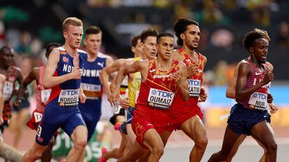 Oumaiz y Katir, en la final de los 5.000m del Mundial de Budapest.