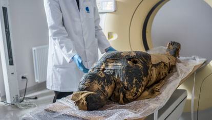 La primera momia egipcia embarazada de la que se tiene constancia, durante la investigación