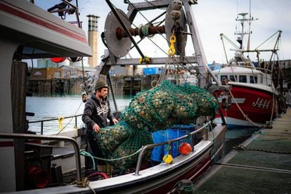 Un pescador descarga una captura de vieiras en el puerto de Saint Helier, en la isla de Jersey.