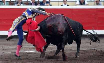 Luis David, impecable, en la suerte suprema al sexto de la tarde.