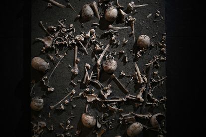 Panoplia con los restos humanos de una batalla prehistórica, en la exposición 'El mundo de Stonehenge', en Londres. 