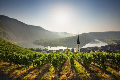 Los viñedos de los alrededores de la localidad alemana de Bremm, en el valle del Mosela.