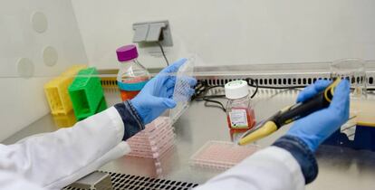 Imagen que una investigación sobre vacunas.