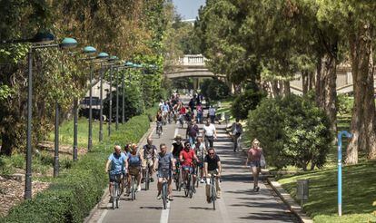 Un grupo de turistas recorren el Jardín del Turia de Valencia en bicicleta.
