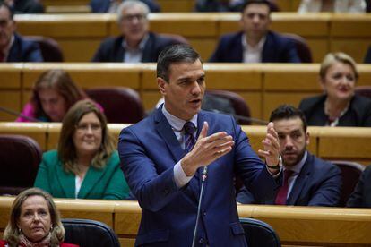 El presidente del Gobierno, Pedro Sánchez, durante su intervención de hoy en el Senado.