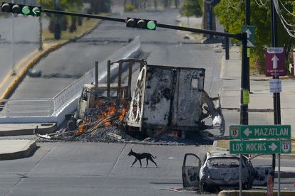 Un perro cruza la calle desierta, mientras vehículos calcinados siguen en llamas, este jueves por la tarde, en Culiacán (Estado de Sinaloa).
