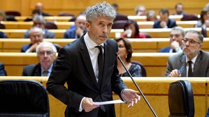 Grande-Marlaska, en una intervención en el Senado.