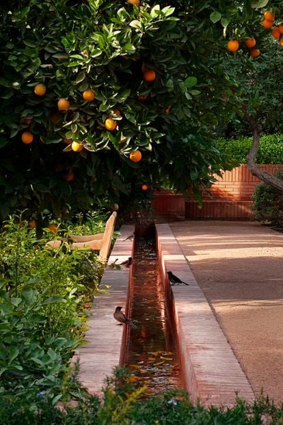 The water channels are one of the distinctive features of the garden designed by Luis Vallejo.  The freshness and the vegetation attract the birds.  Its trilling adds to the noise of the water.