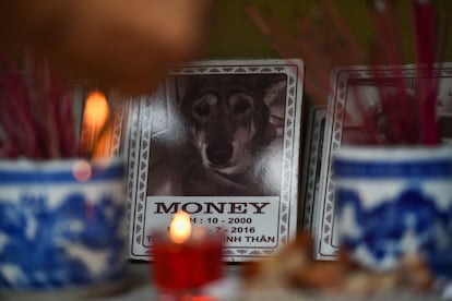 Velas encendidas junto a la tumba de un perro en Hanoi, Vietnam.