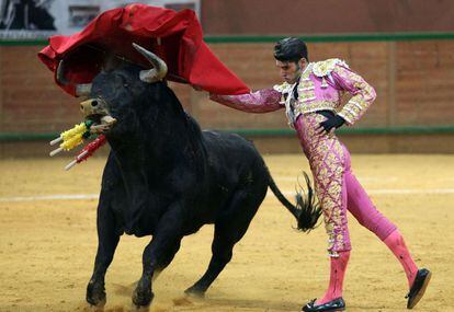 Talavante da un pase con la muleta este s&aacute;bado en Arnedo.