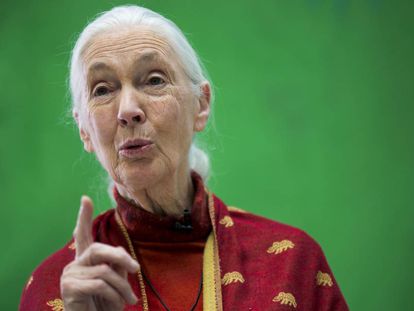 Jane Goodall en la entrega de premios en Madrid.