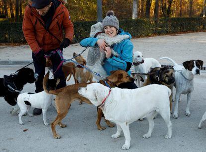 Una paseadora de perros abraza a uno de las mascotas durante un paseo en el parque del Retiro en Madrid, en una imagen de 2017.