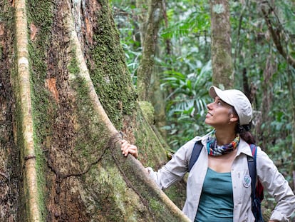 Tatiana Espinosa, junto a un shihuahuaco en Madre de Dios, Perú.