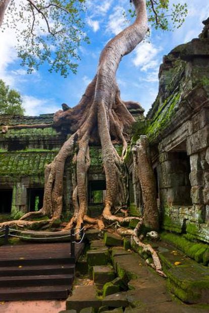 El templo de Ta Prohm, en Camboya.
