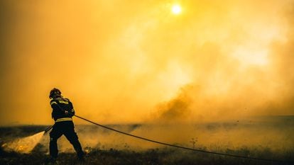 Un bombero lucha contra el fuego en el incendio forestal de la sierra de la Culebra (Zamora)