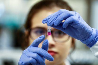 Una científica brasileña trabaja en el laboratorio de Inmunología del Instituto del Corazón (Incor), de la Facultad de Medicina de la Universidad de Sao Paulo, en busca de una vacuna contra el coronavirus.