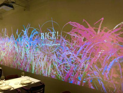 PANEL DEL RESTAURANRE RICE¡ /CAPEL