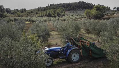 Un pagès amb el seu tractor a Tarragona.