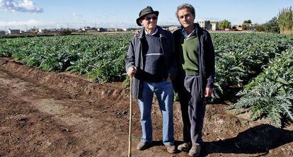 Los agricultores Juan Albiach y Vicent Martí en los terrenos de la huerta de Alboraia, ahora amenazados.