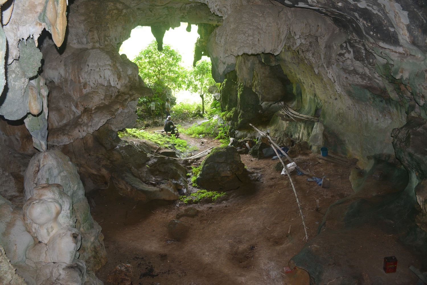 La cueva de Leang Tedongnge en la isla de Célebe en Indonesia / AA Oktaviana