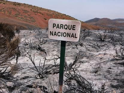 El parque nacional del Teide, este jueves tras el paso del incendio forestal que afecta a la isla de Tenerife.