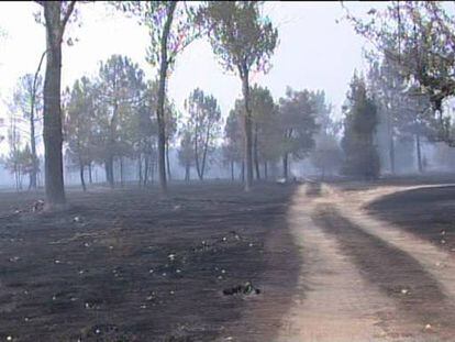 Estabilizado el incendio que ha arrasado 10.000 hectáreas en León
