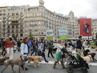 Manifestació al Turó Park de Barcelona per demanar que els gossos puguin entrar al parc.