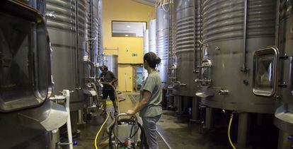 Un momento del proceso de producción del vino en el interior de las instalaciones de las Bodegas Peique.
