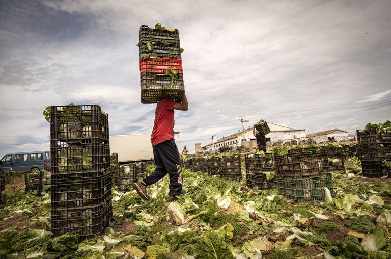 Trabajadores inmigrantes en un campo de Valencia, el pasado lunes.