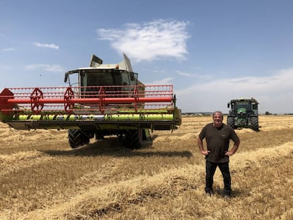 El agricultor Carlos Abendaño, tras recolectar trigo Harmony en una de sus tierras.