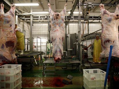 Un matadero de Polonia que produce carne 'halal' y 'kosher', en 2013.