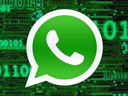 Nuevo bulo de WhatsApp protagonizado por el virus Machupo