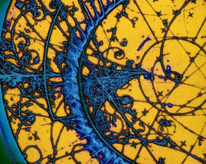 Imagen mejorada artísticamente que muestra las huellas de partículas reales producidas cuando un neutrino interactuó en una mezcla líquida de neón e hidrógeno.
