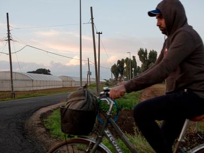 Un trabajador indio vuelve a casa tras su jornada laboral. La bicicleta es el medio de transporte más utilizado para desplazarse por el campo.