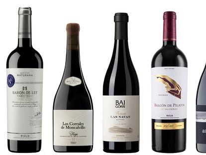 Seis magníficos vinos de una uva segundona: la maturana