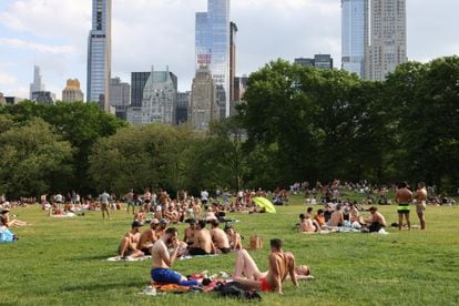 Decenas de personas celebran el relativo regreso a la normalidad en Central Park (Nueva York, EE UU).