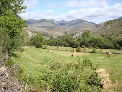 Paisaje babiano.