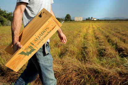 Un agricultor coloca en un campo una de las cajas que ofrecen refugio a los murciélagos.