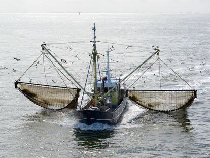 Un barco de pesca de arrastre en el Atlántico norte.