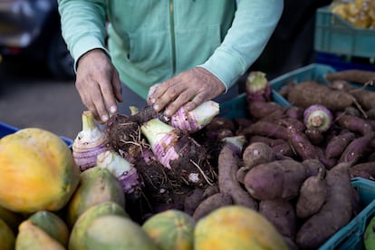 Bryan Didier coloca algunos de sus productos orgánicos en la Feria Verde de Aranjuez, en San José, Costa Rica.